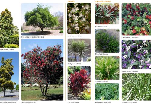 Portfolio of LVIA 1